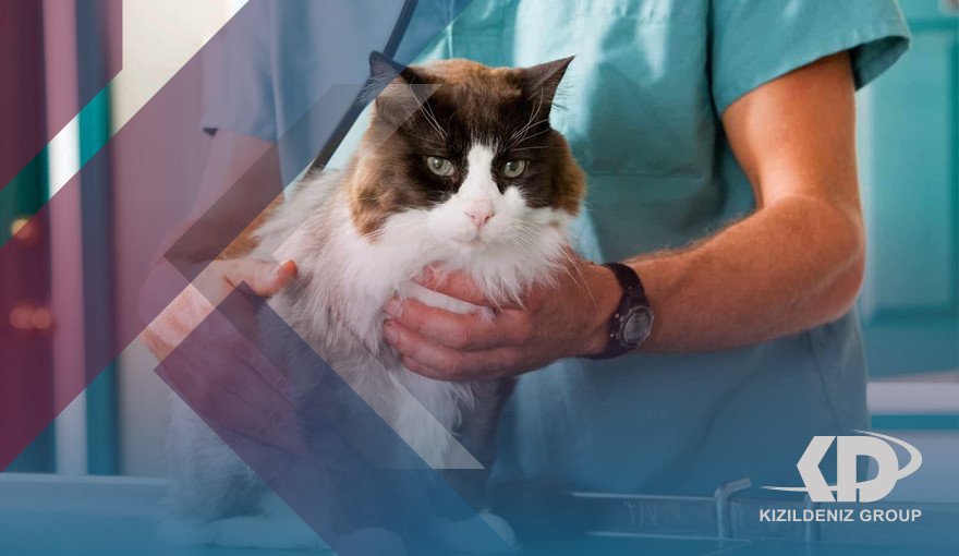 الطب البيطري