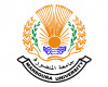 جامعة المنصورة